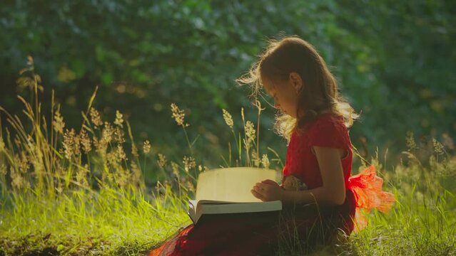 Little girl in red dress siting in the grass reading a book. Looking through pages. Sunset light. Concept of reading