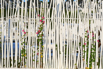 Obraz premium Fence of thin wooden rods of white color with flowers. Background for design.