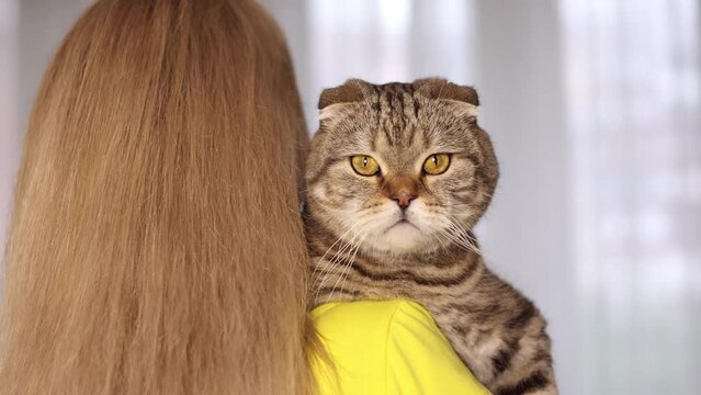 The cat in the girl's arms looks into the frame.