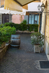 Narrow italian street with plants and flowers. Entrance to family restaurant