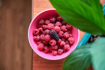 blackberries and raspberries in a plate with a tree background and green leaves in the foreground in the blur