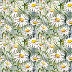 Seamless pattern watercolor illustration background of botanic garden, field chamomile flowers. AI