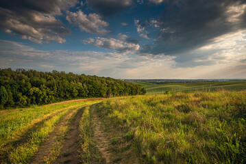 Obraz premium Summer landscape