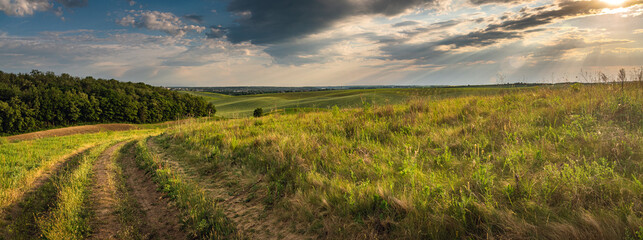 Summer landscape
