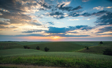 Naklejka premium Summer evening landscape