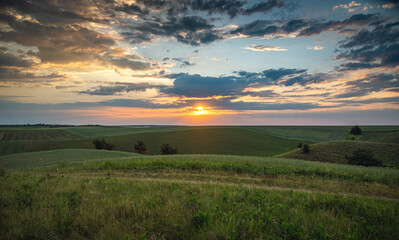 Summer evening landscape