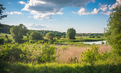 Obraz premium Summer landscape