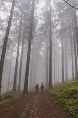 Two girls walk through a dark forest shrouded in a desolate grey mist on a rainy day. Horni Becva, Vsetin region, Beskydy mountains