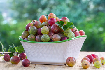Fresh ripe gooseberry berries in a bowl on a wooden table outdoors © physyk