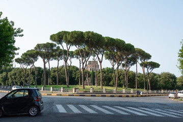 Castel Sant'Angelo from the back with a typical italian pine trees
