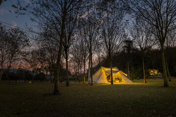 camping in the woods at night