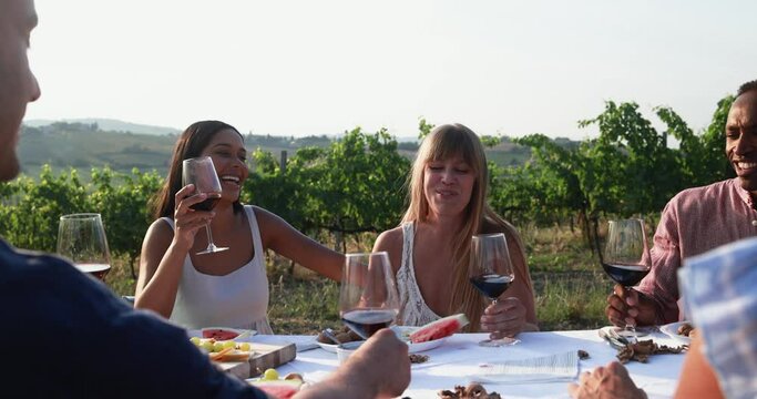 Happy adult friends having fun cheering with red wine and eating together - Multiracial people doing pic nic party at summer time in countryside resort with vineyard in background