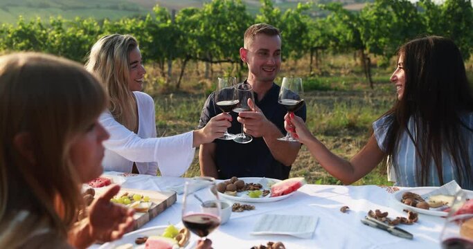 Happy adult friends having fun cheering with red wine and eating together - Multiracial people doing pic nic party at summer time with vineyard in backgroud
