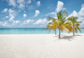 Caribbean sunny beach with palm trees