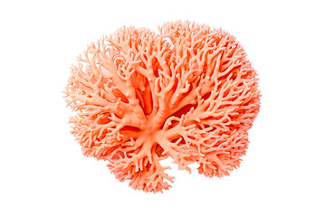 Thorny Coral, Thin Finger, , Table Coral beccc_.Table Coral, on transparent background (PNG). Generative AI.