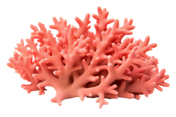  coral, on transparent background (PNG). Generative AI.