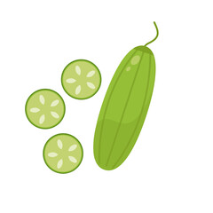 cucumber  illustration with slice .
