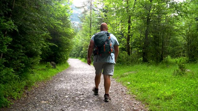 Man with backpack walking by the lush forest at summer