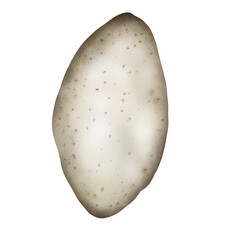 Potato hand drawing
