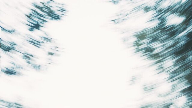 Nature, spinning circle and trees in forest, dizzy green leaves, blur and tree canopy with motion. Woods, swirl pattern and blue sky in forrest with vertigo view, action and energy in speed circle.