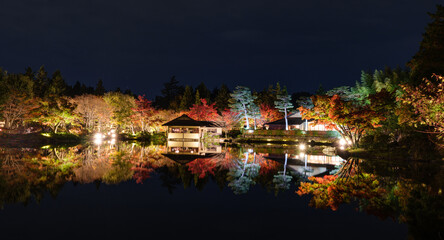 Fototapeta na wymiar 夜の日本庭園