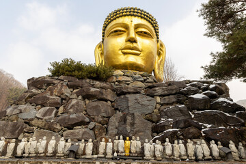 Fototapeta premium statue of buddha