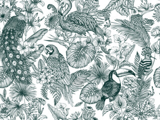 Vector seamless pattern with tropical garden with exotic birds. Macaw parrot, toucan, hoopoe, peacock, flamingos and cockatiel parrot in engraving style