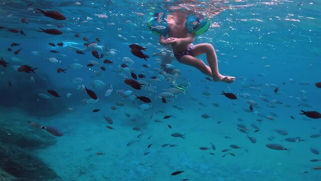 Underwater view of toddler swimming with inflatable armbands in middle of big school of fish in deep blue water, Slow motion