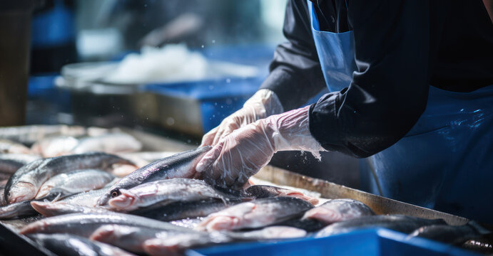 fishmonger picking fish in fish market