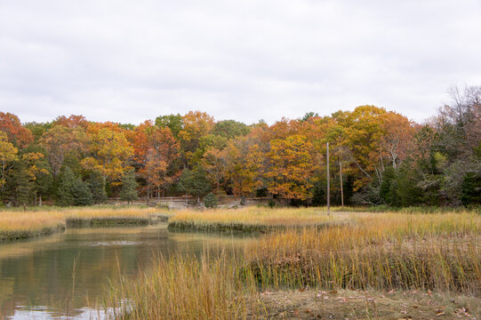 Bare Cove Park in Hingham MA. The park is the site of a former naval ammunition depot which was declared surplus in the early 1970s. It was then turned into Bare Cove  Park and Great Esker.