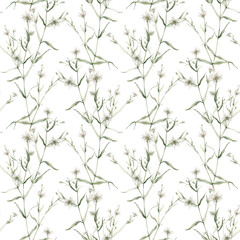 Watercolor seamless pattern with stellaria holostea. Rabelera holostea. Hand painted small white flower and leaves isolated on green background. Illustration for design, fabric, print or background.