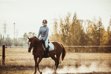 Young woman athlete rides a horse. Jumping training in the spring in the field.