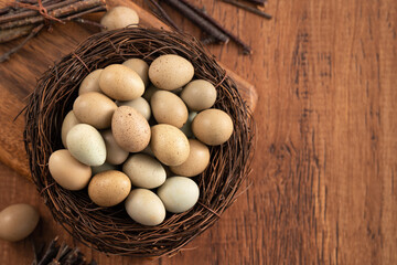 Fresh button quail eggs in a nest on wooden table background.