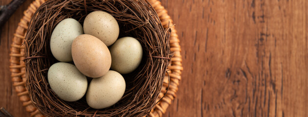 Fresh button quail eggs in a nest on wooden table background.