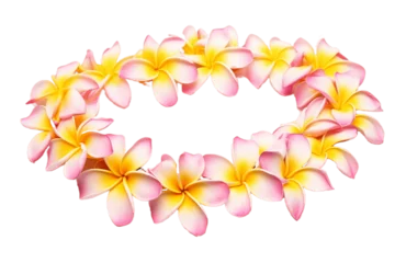Foto op Aluminium Hawaii Garland of Frangipani Flowers Lei, Isolated on Transparent Background. Generative AI © AIstudio1