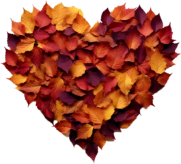 Autumn leaf heart shape on transparent background PNG