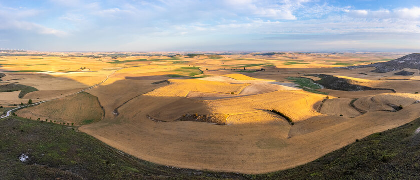 Early morning in the Meseta, a spanish region with crop fields. Spain