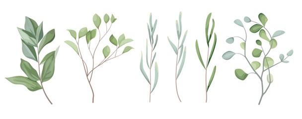 Vector Grass Set. Different eucalyptus sprigs, green plants and leaves on a white background . Vector illustration
