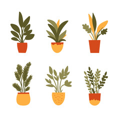 Fototapeta na wymiar Set of plant in a pot, illustration 