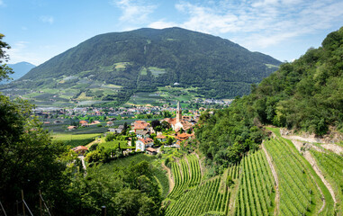  Blick auf Algund