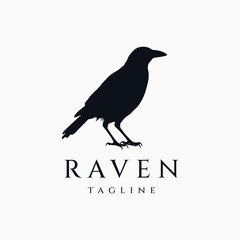 Raven logo design vector illustration