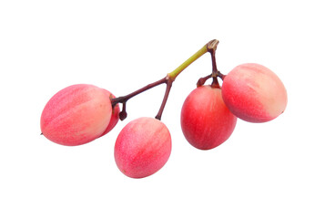 carissa on transparent png