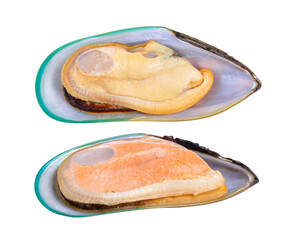 mussel on transparent png