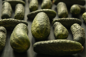 Closeup of cucumbers on black background with natural light - 622297376