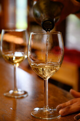 Tasting of variety of Spanish rioja wines, visit of winery cellars, Rioja wine making region, Spain