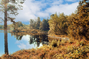 Autumn landscape with reflection in lake. Warm sunny day.