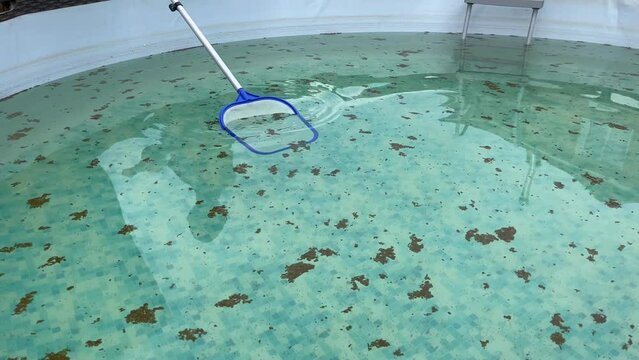 Cleaning a swimming pool with a metal frame with a net from  dirt. Cleaner of the swimming pool. Backyard Garden Swimming Pool Cleaning. Taking Care of Pool.