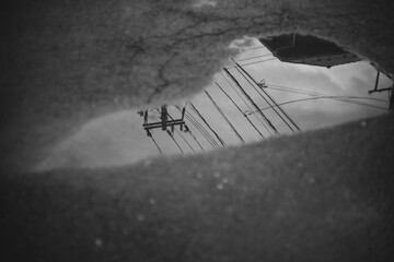 電線が映る水溜り