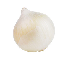 white onion on transparent png