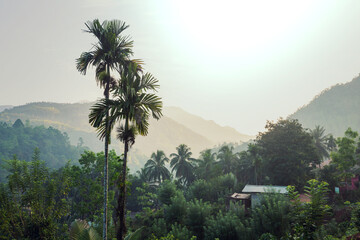Fototapeta na wymiar Village on Sri Lanka